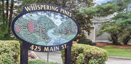 425 Main St Unit 21D, Hudson