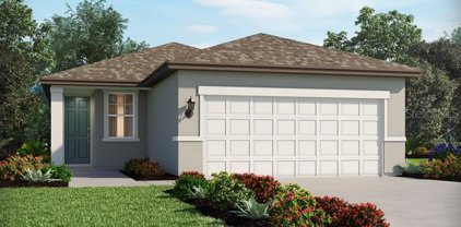 7151 Amelia River Drive, Parrish