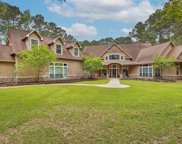 29111 Commons Forest Drive, Huffman image