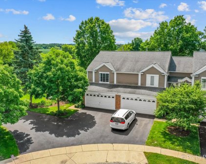 1261 River Ash Court, Bartlett