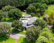 898 Cypress Lakeview Court, Tarpon Springs image