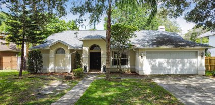 15109 Craggy Cliff Street, Tampa