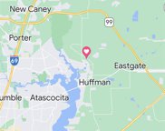 Fm 2100 Road, Huffman image