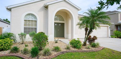 3436 Juneberry Drive, Wesley Chapel