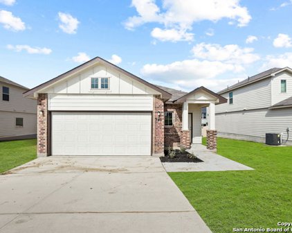 340 Saddle Leaf, Cibolo