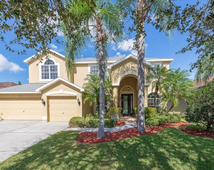 12913 Castlemaine Drive, Tampa