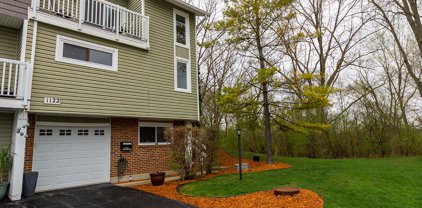 1122 Sandpiper Court Unit #1122, Bartlett