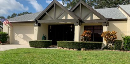 800 Lakewood Drive, Palm Harbor