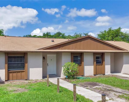 927 Hughey Street, Apopka
