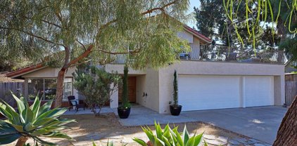 2107 Meadowgreen Court, Encinitas