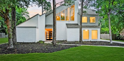 4 Greenridge Forest Drive, The Woodlands