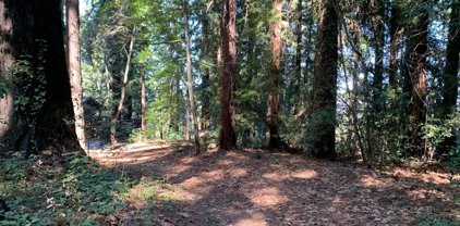00 Santa Ana RD, Los Gatos