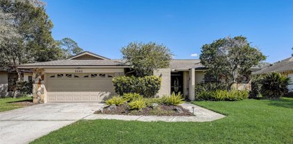 3582 Fairway Forest Drive, Palm Harbor