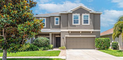 12033 Whistling Wind Drive, Riverview