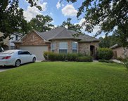20269 Southwood Oaks Drive, Porter image