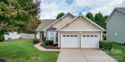 313 Sand Paver  Way, Fort Mill