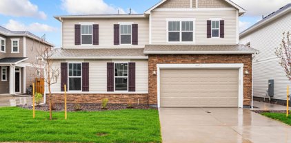 4472 Haymill Ct, Timnath