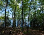 Lot 121 Clearwater Lake Tr, Three Lakes image