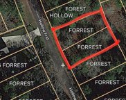 Forrest Hollow, Trinity image