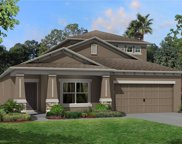 5077 Bromeliad Avenue, Wimauma image