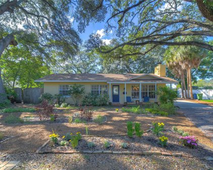 1511 Cameron Court, Tampa