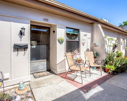 1489 Feather Drive, Clearwater