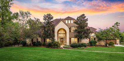 32703 Tall Oaks Way, Magnolia