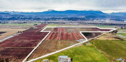 8201 Dyke Road, Abbotsford