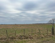 TBD County Road 20, Damon image