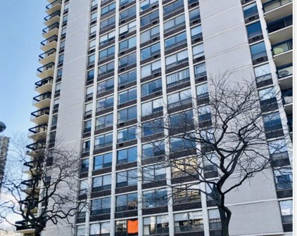 1455 N Sandburg Terrace Unit #1109, Chicago
