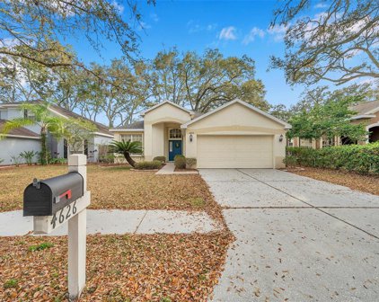 4626 Dunnie Drive, Tampa