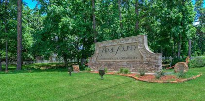 280 Capetown Street, Conroe