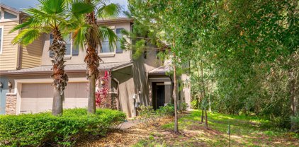 17259 Old Tobacco Road, Lutz