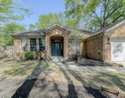 60 W Twinberry Place, Spring image
