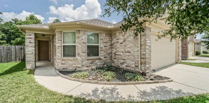 4831 Blue Spruce Hill Street, Humble