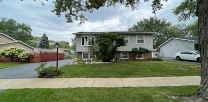 116 S Orchard Drive, Bolingbrook
