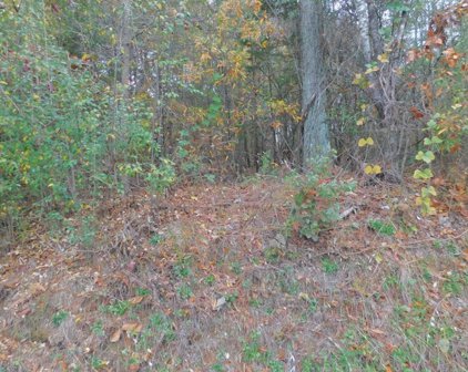 TBD Vesta's Road, Gaffney