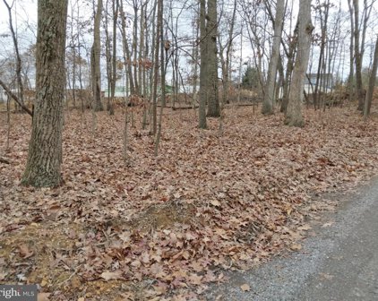Homewood Ave, Falling Waters