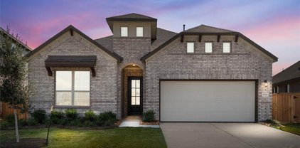 2924 Golden Dust Drive, Katy