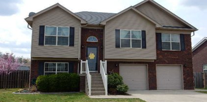 131 Bluebill Ct, Shepherdsville