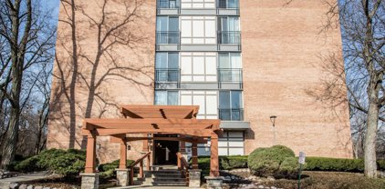 5810 Oakwood Drive Unit #2A, Lisle