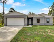 1305 Nelson Park Court, Poinciana image