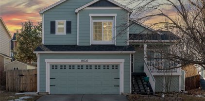 8531 Bluegrass Circle, Parker
