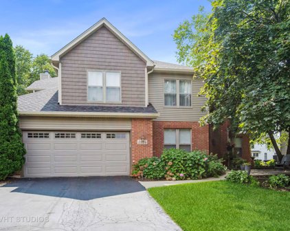2324 Haider Avenue, Naperville