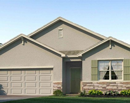 3129 Silver Date Drive, Wimauma