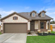 20102 Torrey Pines Lane, Cleveland image