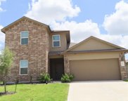 8119 Precious Passing Way, Rosharon image