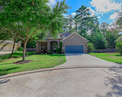 1800 Leela Springs Drive, Conroe