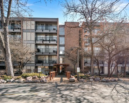 6020 Oakwood Drive Unit #2C, Lisle