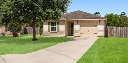 28815 Concho River Court, Spring